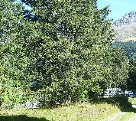 شقة La Riva لينتسرهايدي