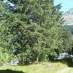 Appartement La Riva Lenzerheide